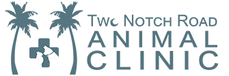 Link to Homepage of Two Notch Road Animal Clinic